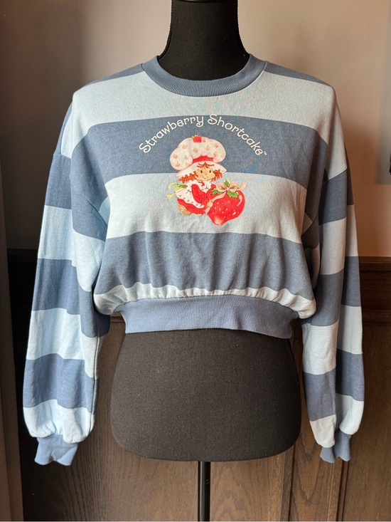 Sweaters - Strawberry Shortcake Blue Stripe Cropped Sweater xxs